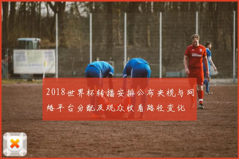 2018世界杯转播安排公布央视与网络平台分配及观众收看路径变化