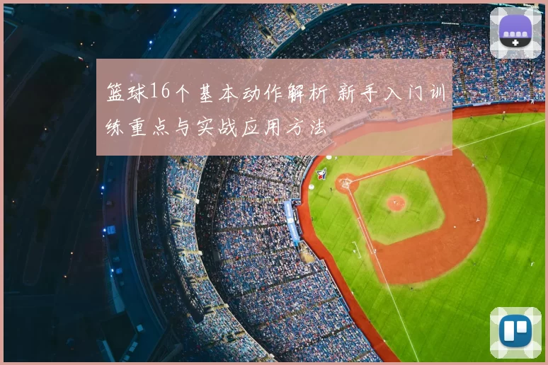 篮球16个基本动作解析 新手入门训练重点与实战应用方法