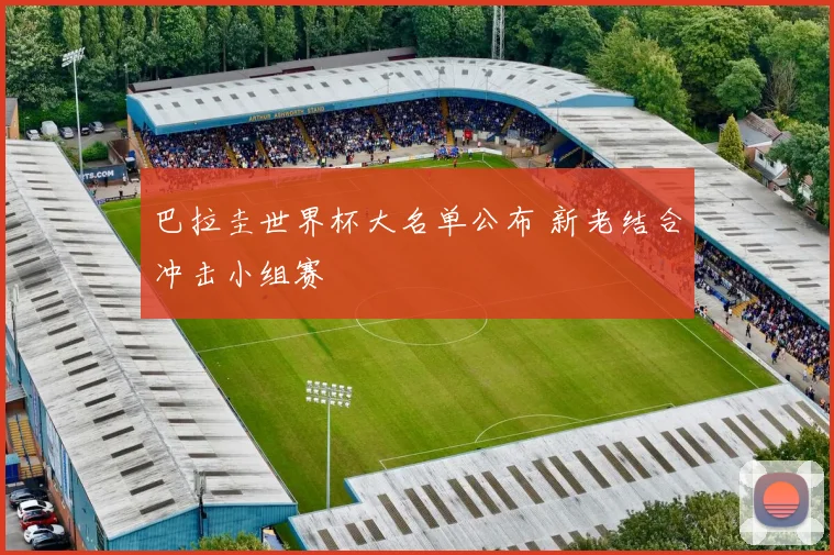 巴拉圭世界杯大名单公布 新老结合冲击小组赛